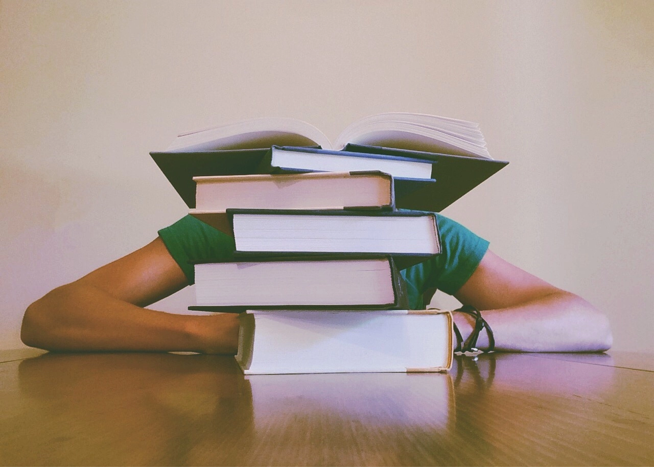 Potpora studentima u realizaciji stručne prakse u inozemstvu